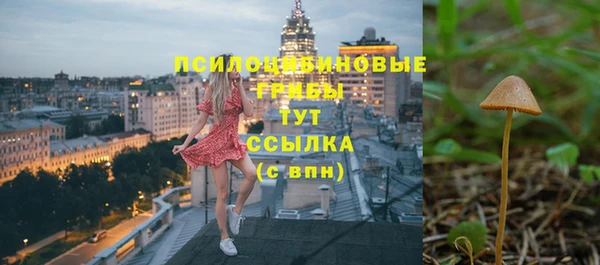 MESCALINE Тында