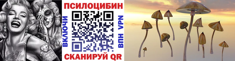 Купить где  Новопавловск  Галлюциногенные грибы MAGIC MUSHROOMS 