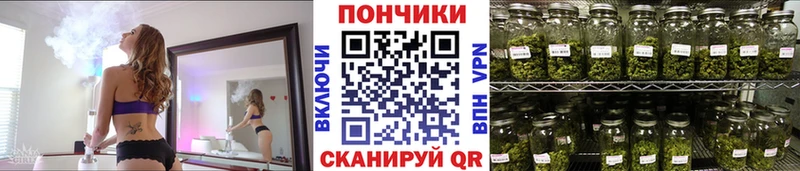 Купить где  Новопавловск  Марихуана сатива 